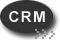 Customer Relationship Management 